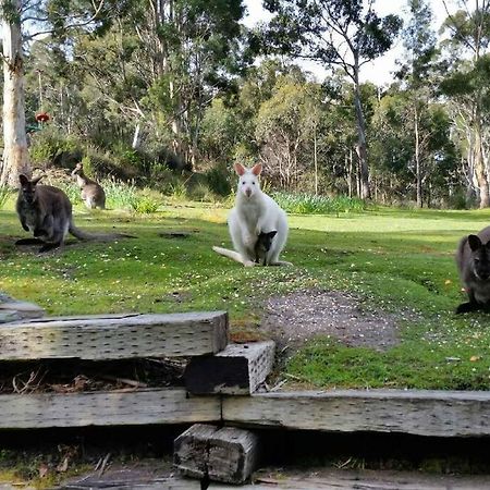 The Stone Cottage - Bruny Island Simpsons Bay Экстерьер фото