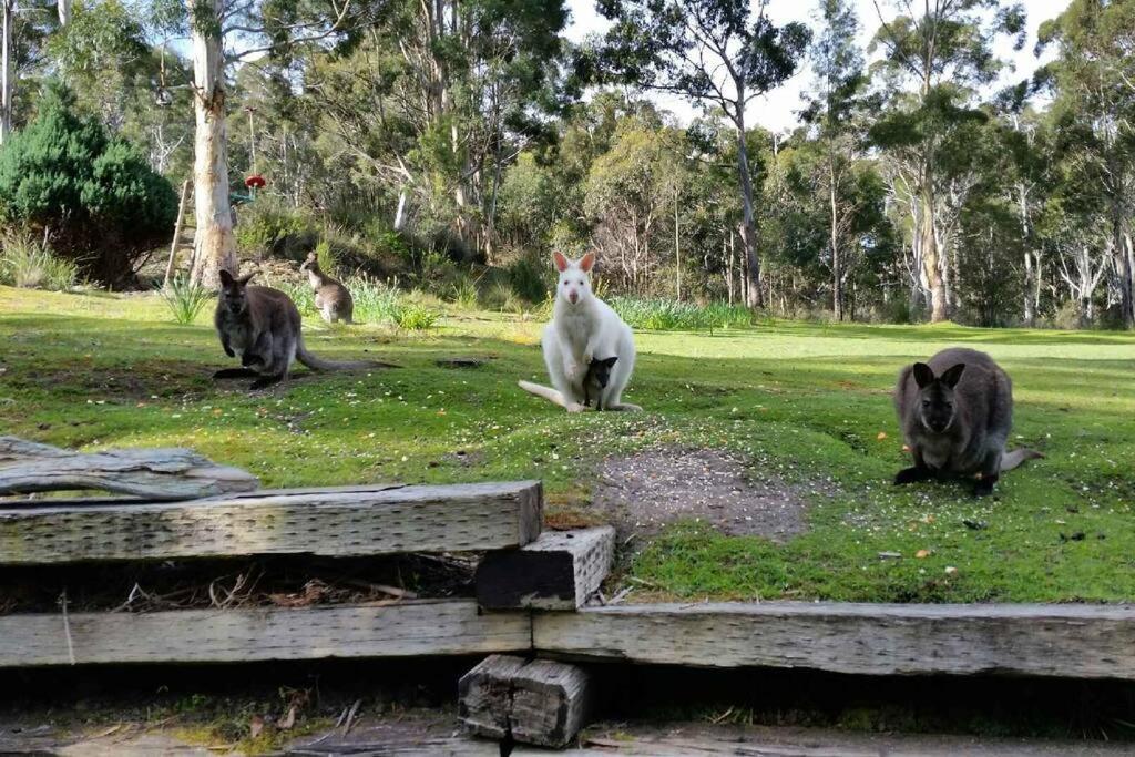 The Stone Cottage - Bruny Island Simpsons Bay Экстерьер фото