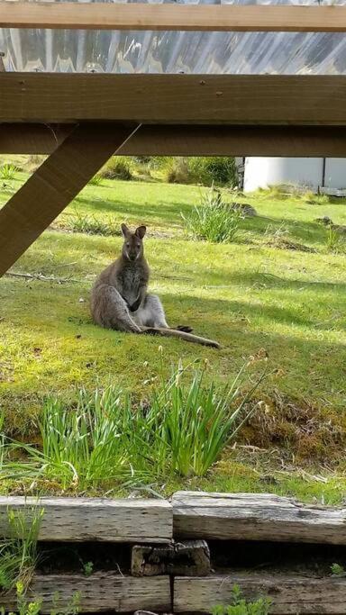 The Stone Cottage - Bruny Island Simpsons Bay Экстерьер фото